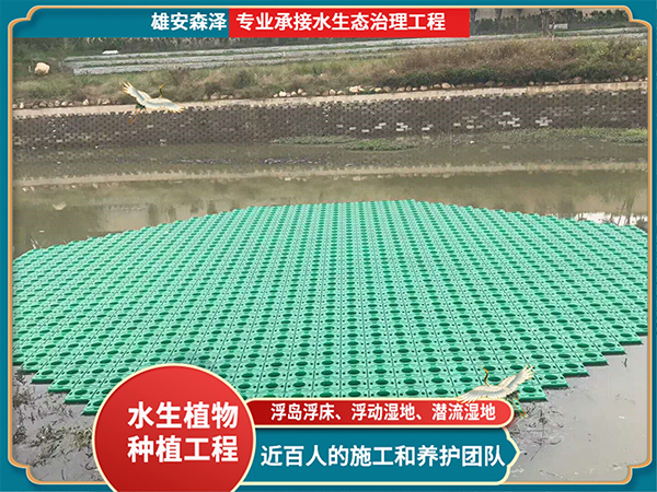 浮岛浮床施工现场 (1)